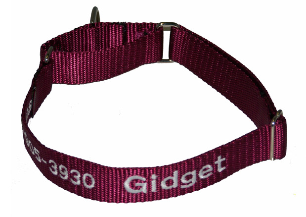 Martingale Collar - Solid - 1"