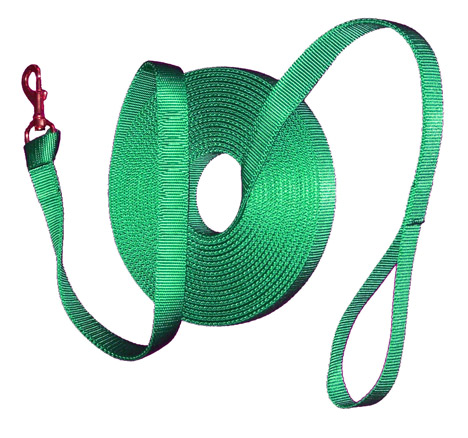 Exercise/Check Lead - 1" Width